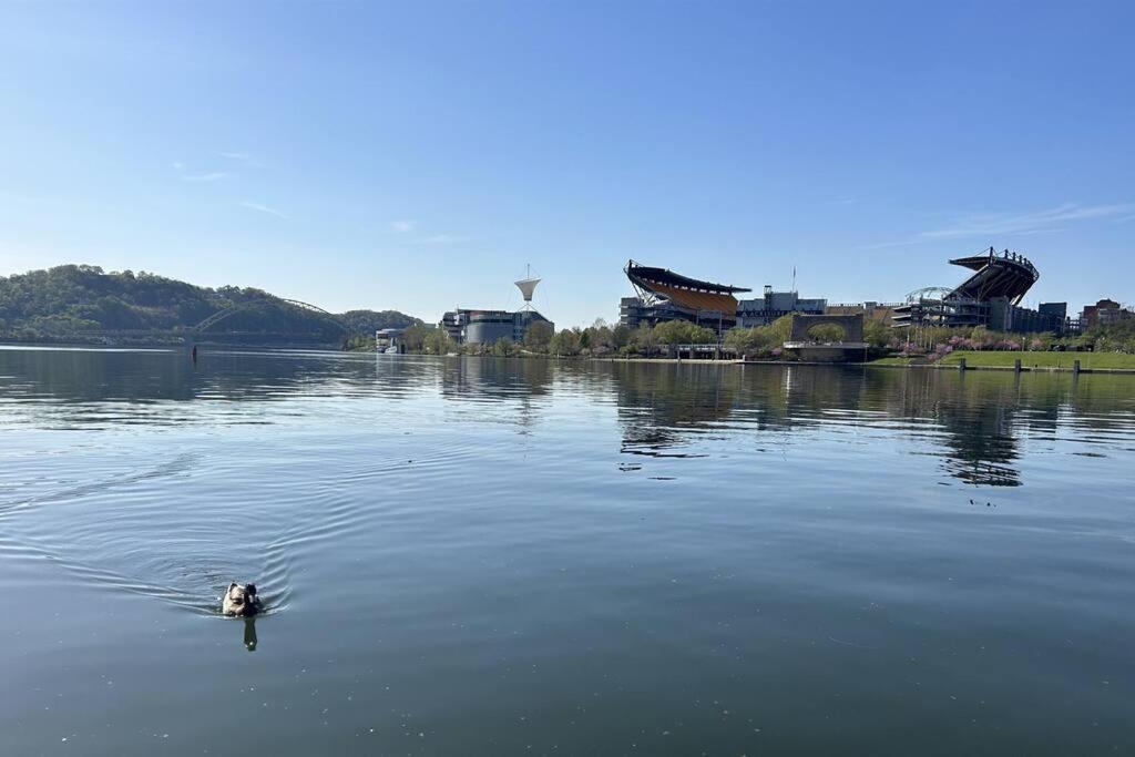 Sprawling Stadium Views Wonderful Location 24-7 Parking Gym Lounge Pittsburgh Exteriör bild